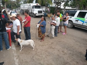 Vacunación de perros Cd Madero  2001