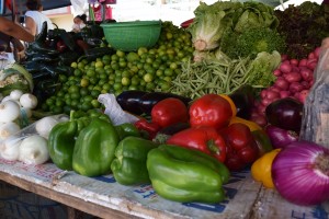 Frutas y verduras rodantes Tampico