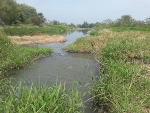 Aguas Negras Comapa Tampico Laguna La Ilusión Madero