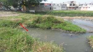 Fuga de aguas negras Comapa Tampico Laguna La Ilusión Madero