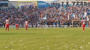 jaiba