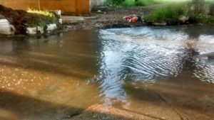 El agua de drenaje llega hasta la laguna La Ilusión