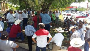 productores-agricolas-en-plaza-altamira