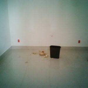 ayuntamiento-de-altamira-presenta-danos-en-su-infraestructura-1