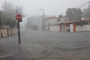 segunda-avenida-jardin-20-de-noviembre-ciudad-madero